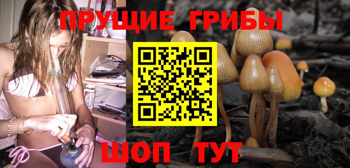 Галлюциногенные грибы Cubensis  Вход с VPN  купить наркоту  Благовещенск 